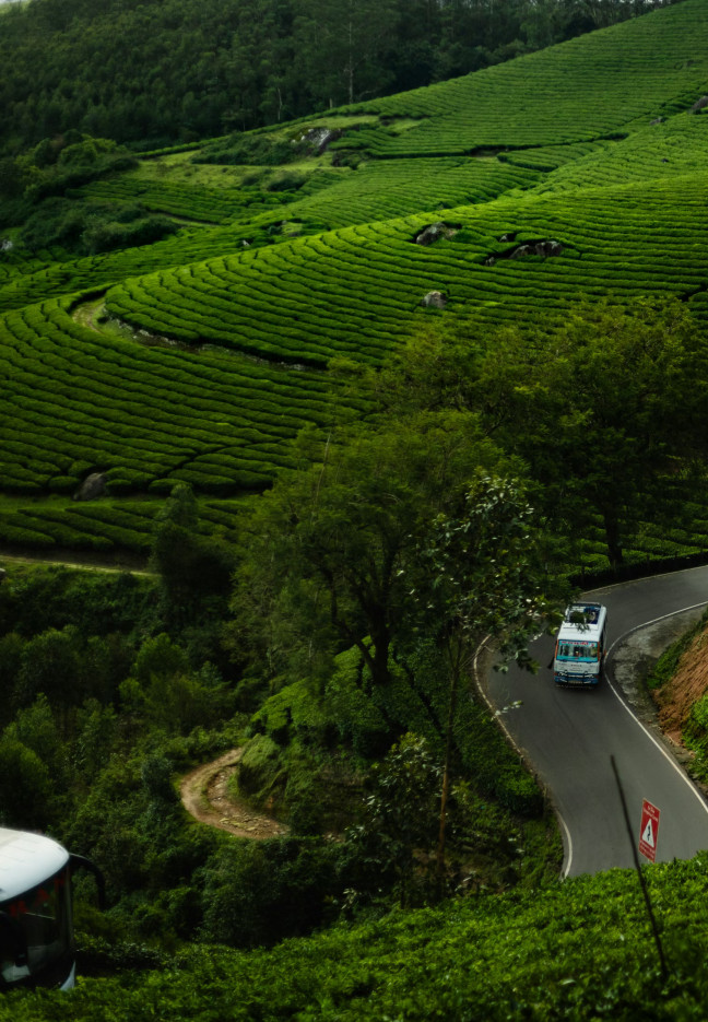 Kakkadam Poyil vs Wayanad – Which is Better for a Weekend Trip? (2026 Guide)