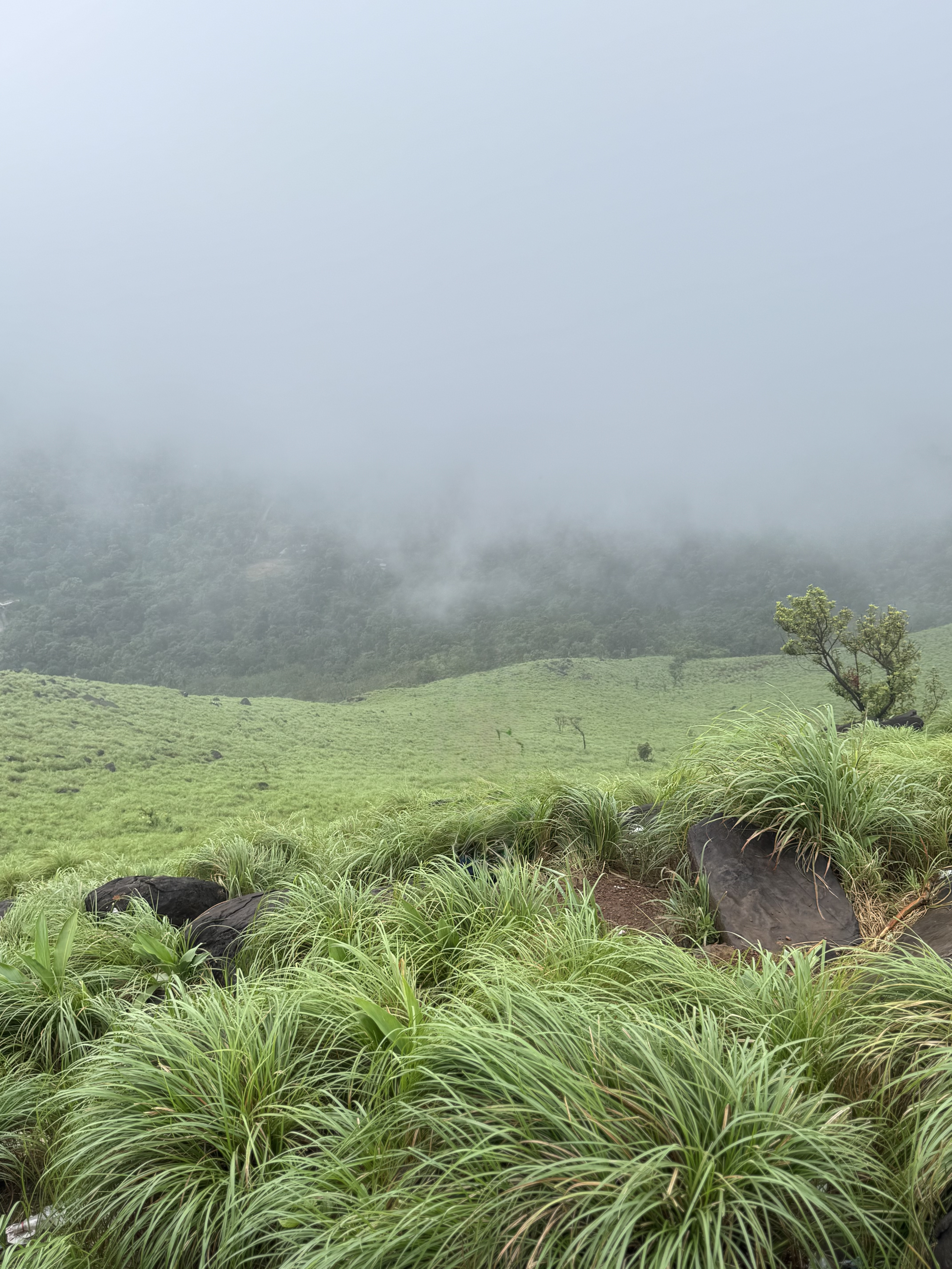 Kurishumala viewpoint during daytime