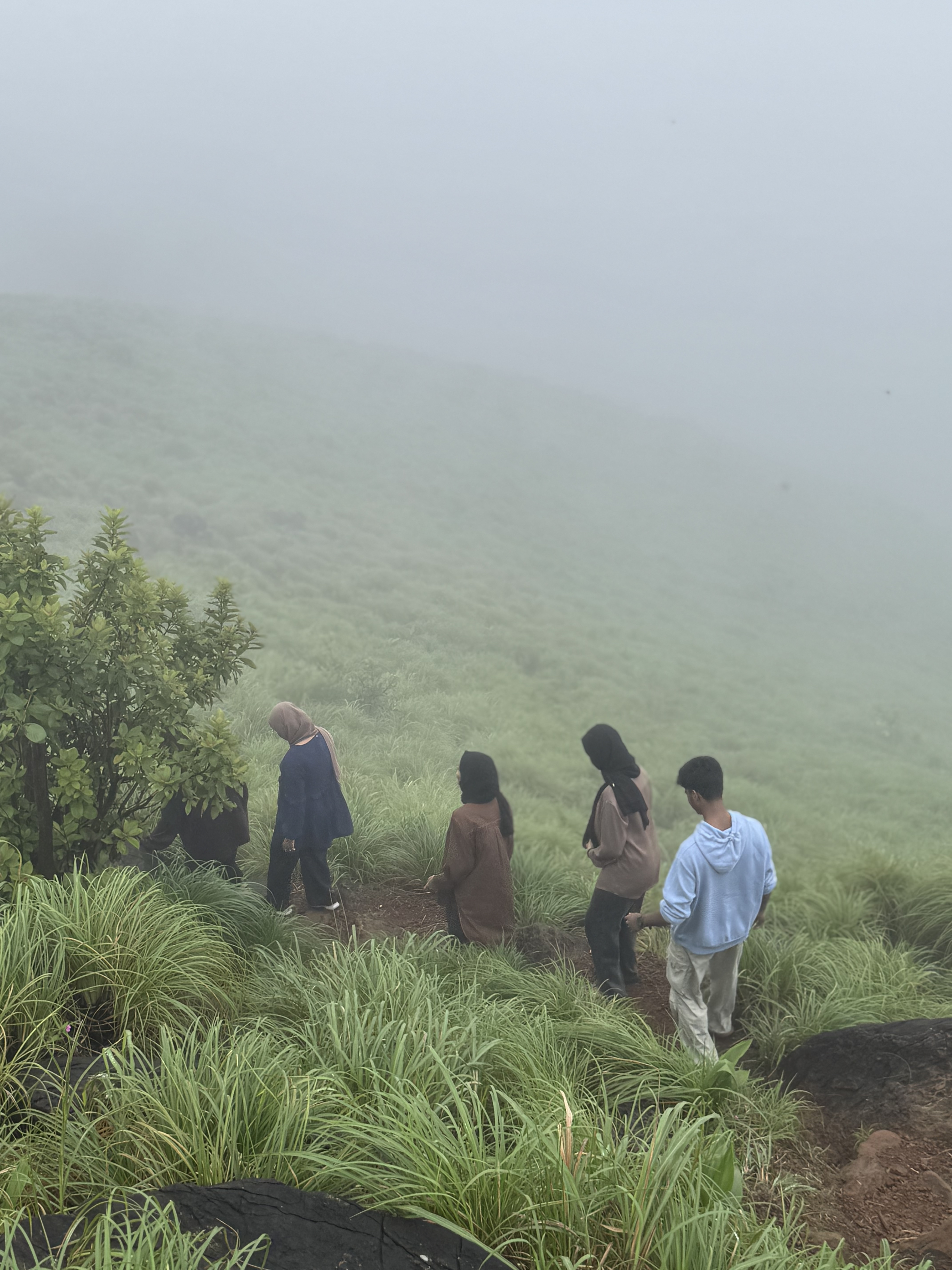 Mist and clouds at Kurishumala