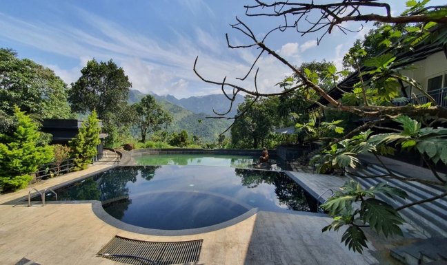 Sattva Resort — photo 2 of 3